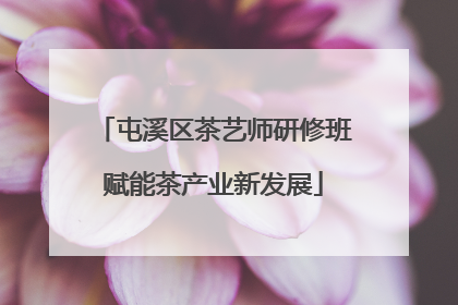 屯溪区茶艺师研修班赋能茶产业新发展